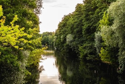 Rund um den Tegeler See