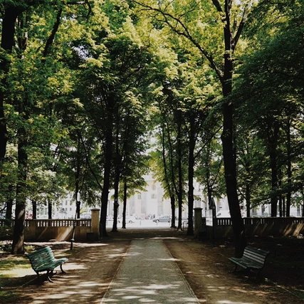 Tiergarten in Berlin mit Blick auf die Baumallee