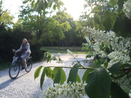 Tiergarten - Spring Tiergarten - Spring