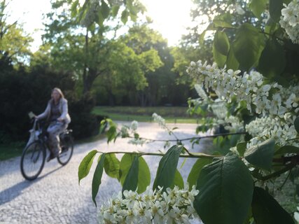 Tiergarten - Spring