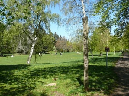 Ballspielwiese im Volkspark Rehberge Ballspielwiese im Volkspark Rehberge