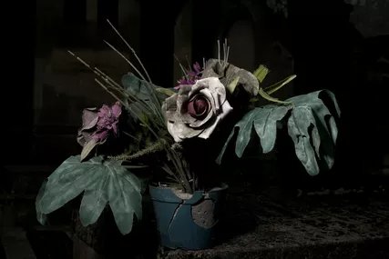 "Böse Blumen"