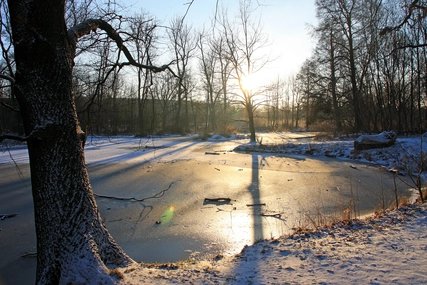 Teich im Wuhletal im Winter Landschaftsschutzgebiet Wuhlegarten