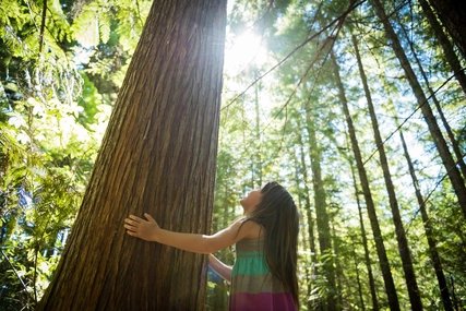 Kind in der Natur Young girl connecting with nature