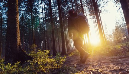Wanderer in Berliner Wäldern