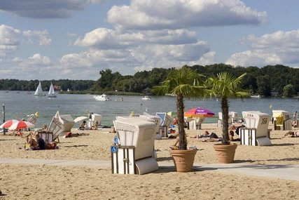 Palmen und Strandkörbe am Strandbad Wannsee Berlin