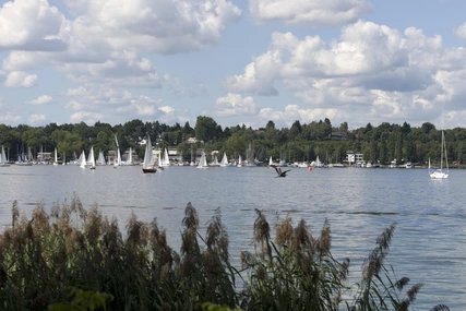 Segelboote auf dem Wannsee