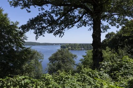 Pfaueninsel Pfaueninsel