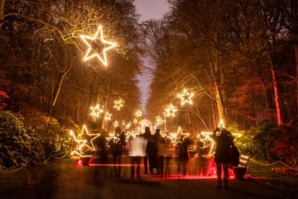 Weihnachten im Tierpark, Friedrichsfelde