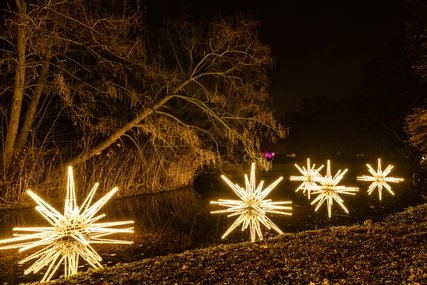 Weihnachtssterne im Tierpark Berlin