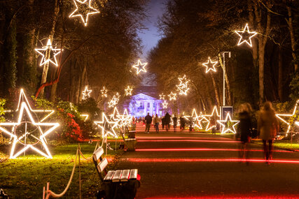 Sternenlichter bei Weihnachten im Tierpark, Friedrichsfelde