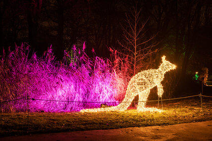 Weihnachten im Tierpark, Friedrichsfelde