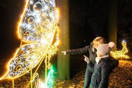Weihnachten im Tierpark 2023