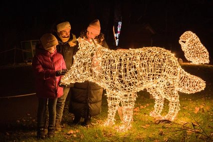Weihnachten im Tierpark 2021