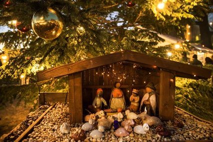 Weihnachtsmarkt Späth´sche Baumschulen