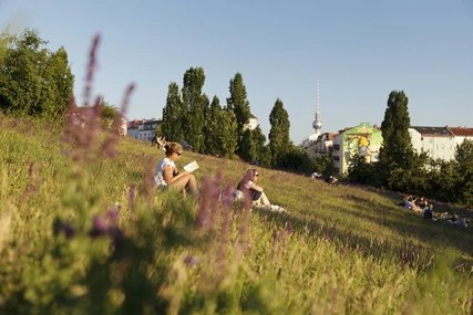 Mauerpark Berlin Menschen auf einer Wiese im Mauerpark
