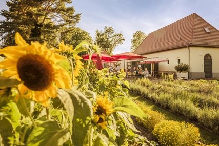 Sommercafe im Landhausgarten Dr. Max Fränkel