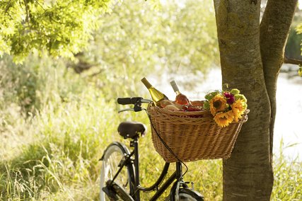 Picknick and bicycle tour in Berlin