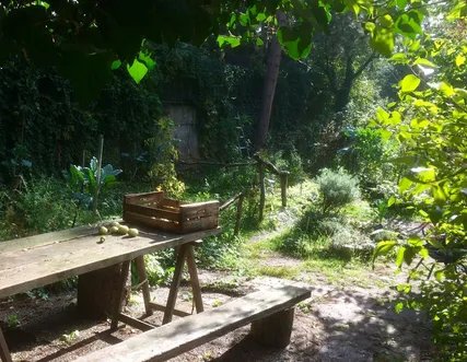 Café Botanico
