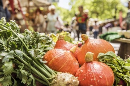 Kürbisse auf dem Wochenmarkt Ökomarkt und Wochenmarkt am Kollwitzplatz