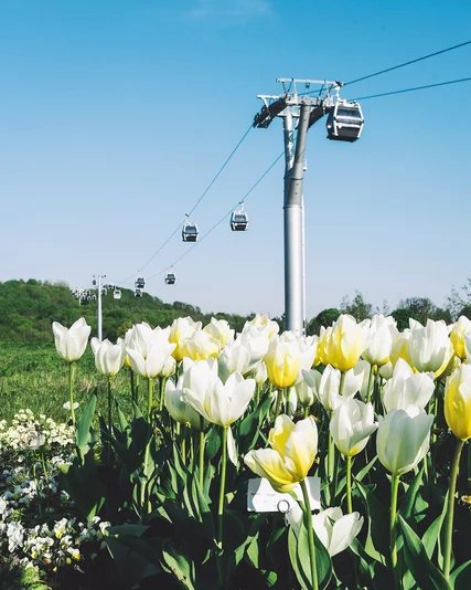 Mit der Seilbahn auf den Kienberg Seilbahn IGA 2017