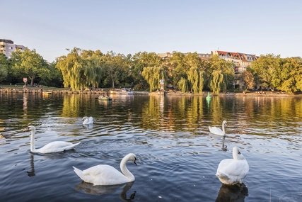 Kreuzberg, Landwehrkanal