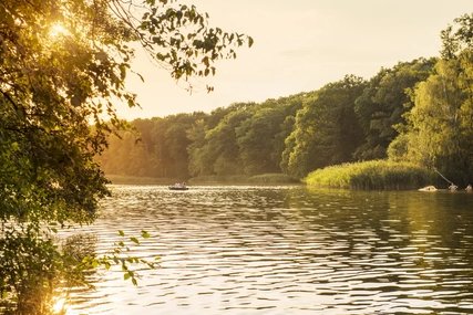 Al Schlachtensee a Berlino Con la barca a remi sul Schlachtensee a Berlino