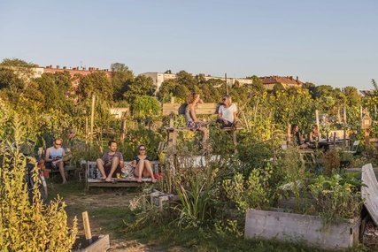 Sul Tempelhofer Feld Tempelhofer Feld Berlino: Giardinaggio urbano