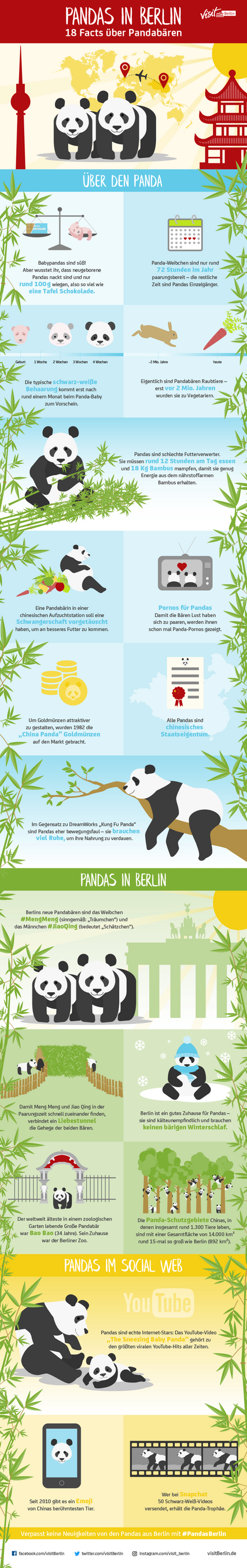 Pandas in Berlin, die Infografik: 18 Fun Facts über Pandabären