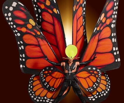 Schmetterlin in schwarz weiß und orange auf der VIVID Show Berlin