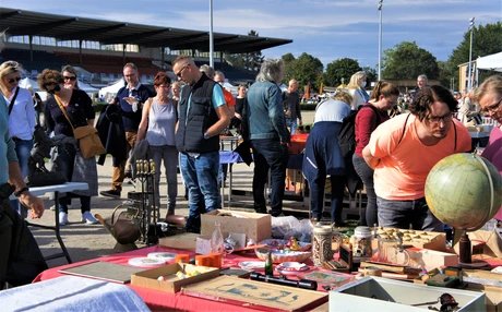 e_0025ea49e82499c87495e38099fe2211_img-hopop