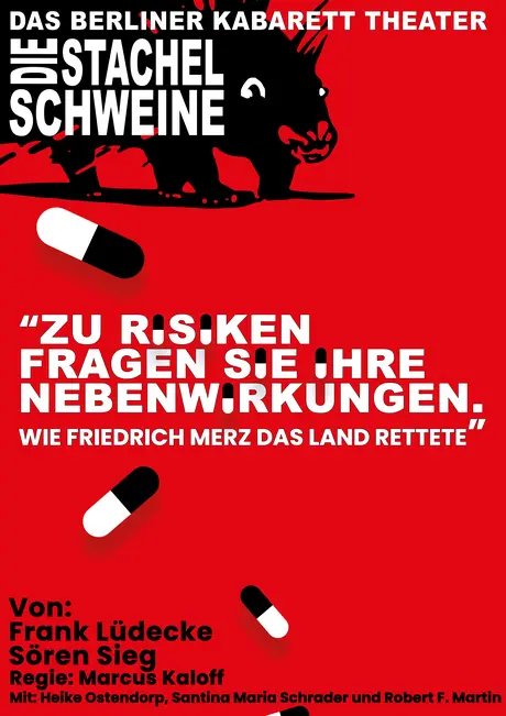 POSTER Wie Friedrich Merz das Land rettete: Zu Risiken fragen Sie Ihre Nebenwirkungen