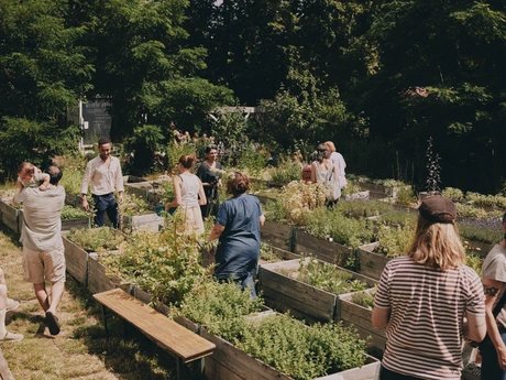 Der Heilkräutergarten Hevrîn Xelef in Berlin-Neukölln