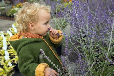 Traditionsfest mit Herbstblütenpracht, Live-Musik und Kinderprogramm