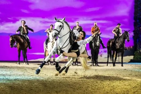 Beeindruckende Akrobatik