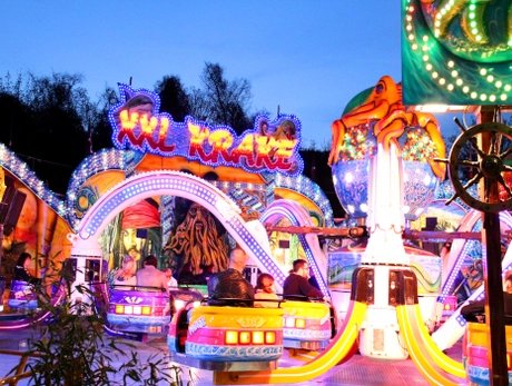 XXL Krake, Berliner Herbstrummel