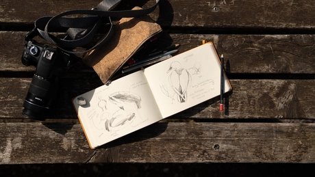 Naturtagebuch für Vogelbeobachter