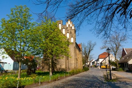 e_070060a08496d6f78ed03178bedef25b_img-hopop