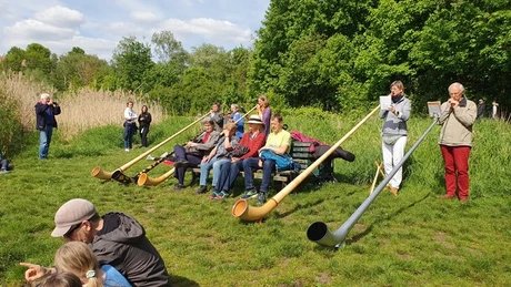 Alphornblasen auf der Wiese