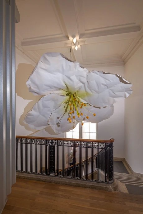 e_0b4fd94f29521cf4ddc4afc5304a33b9_img-hopop