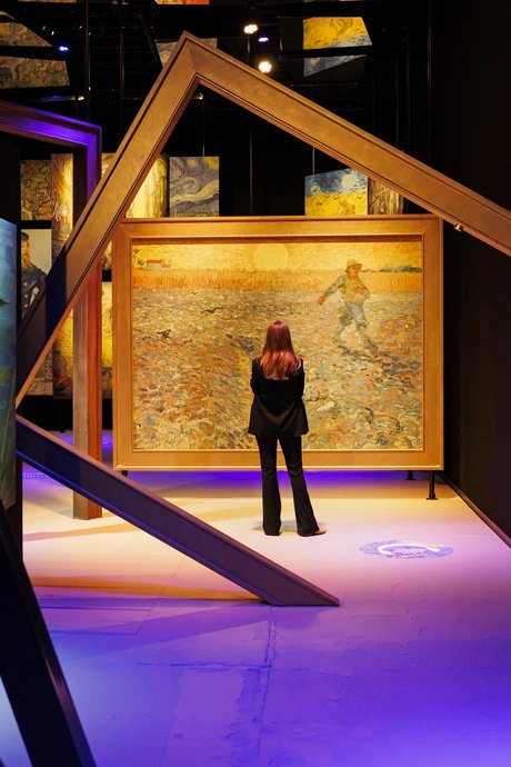 Vincent - Zwischen Wahn und Wunder