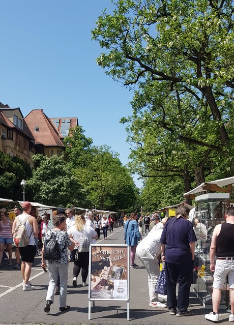 e_124ec412e1e80bf1969ddcf5d78d3a85_img-hopop