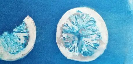 Cyanotypie im Hamburger Bahnhof