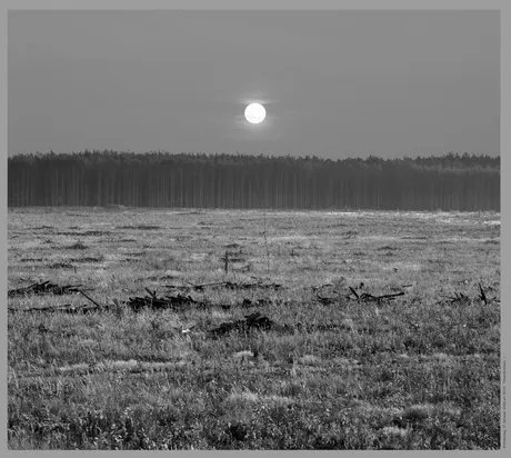 Beate Gütschow, Resistance, Flood, Fire, Resistance., 2024-2025, Fotografie