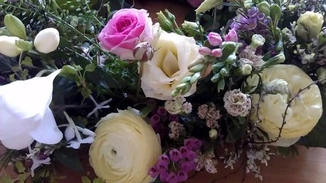 Blumen in Schloss Biesdorf