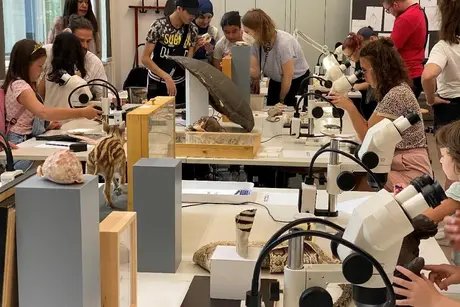 Mikroskopworkshop im Museum für Naturkunde Berlin