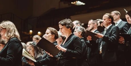 e_1def7ed4619ecd12e2da43a0d0beb3cc_img-hopop