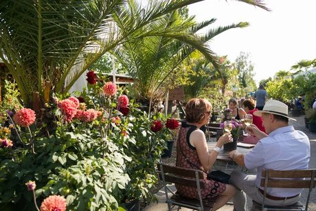 Weinmarkt im Späth'en Weingarten