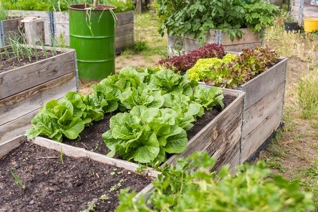 Urban-Gardening Hochbeete