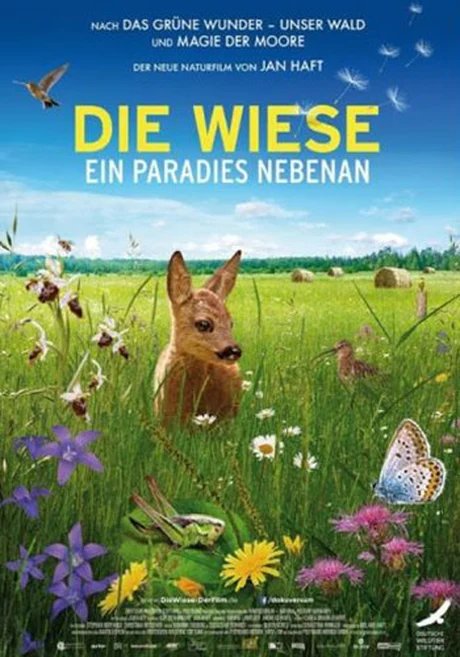 Filmplakat „Die Wiese – Ein Paradies nebenan“ von Jan Haft